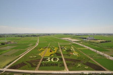 7月11日の田んぼアートの様子の写真