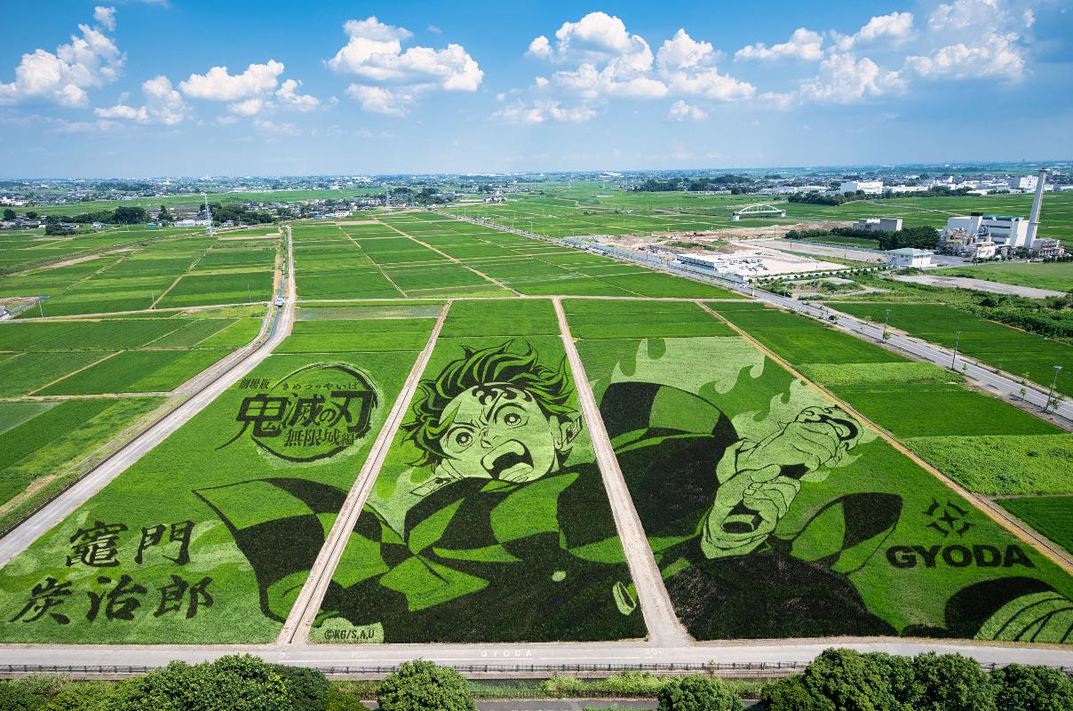 田んぼアート2025