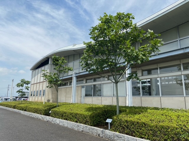 被爆アオギリ写真全景