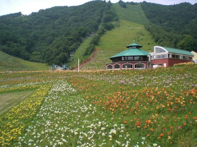 緑の山の前に六角形の緑の屋根の建物があり一面に広がる白や黄色、オレンジの花々が咲いてる写真