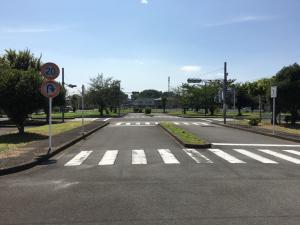 信号や道路標識を設置した模擬道路がきれいに整備された交通公園の写真