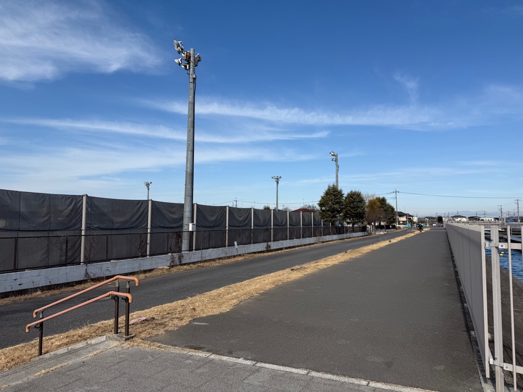 武蔵水路沿いの桜伐採後