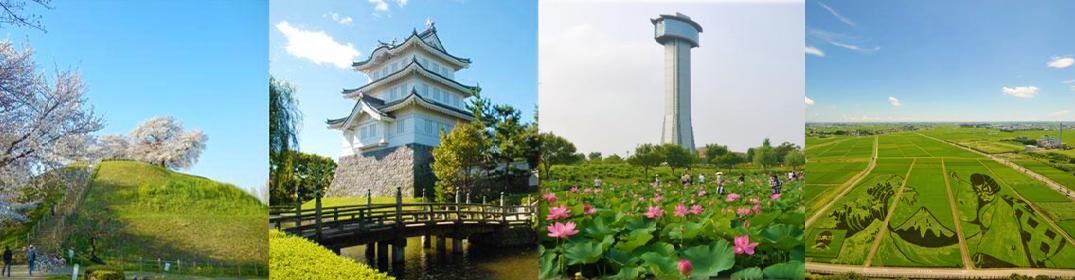 左から、頂上に桜の花が咲いている丸墓山古墳の写真、城下町行田のシンボル忍城と堀にかかっている橋の写真、「古代蓮の里」  、田んぼアートを上空から撮影した写真
