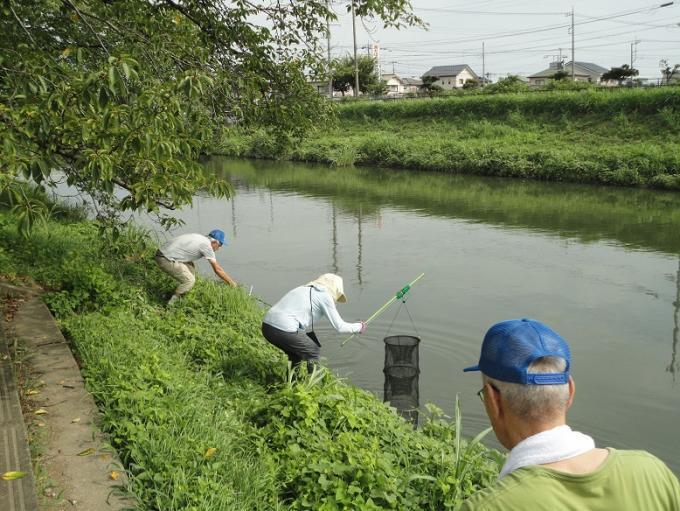 忍川の生き物調査にて参加者が棒の先に取り付けてある黒色の筒状の魚捕り網を川に入れている写真