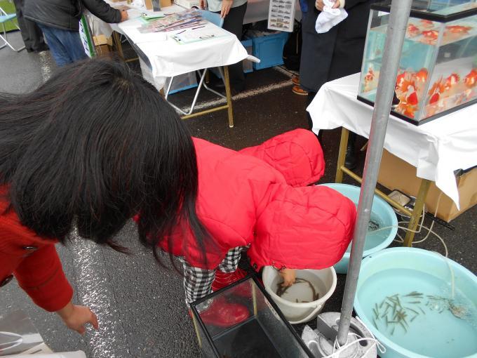 展示されている水槽の横のバケツに入った魚に手を伸ばしている赤い上着を着た子供の写真