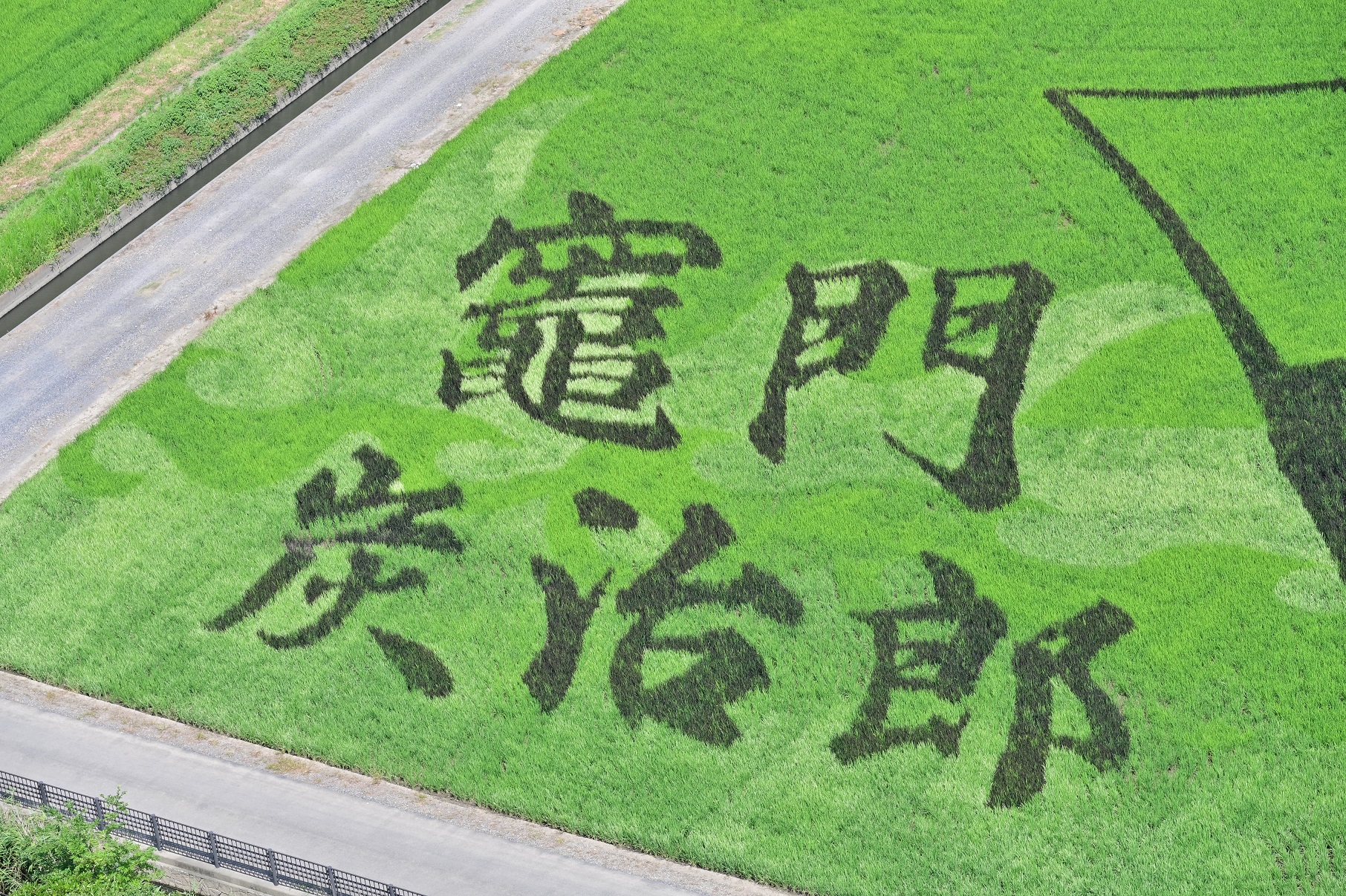 名前