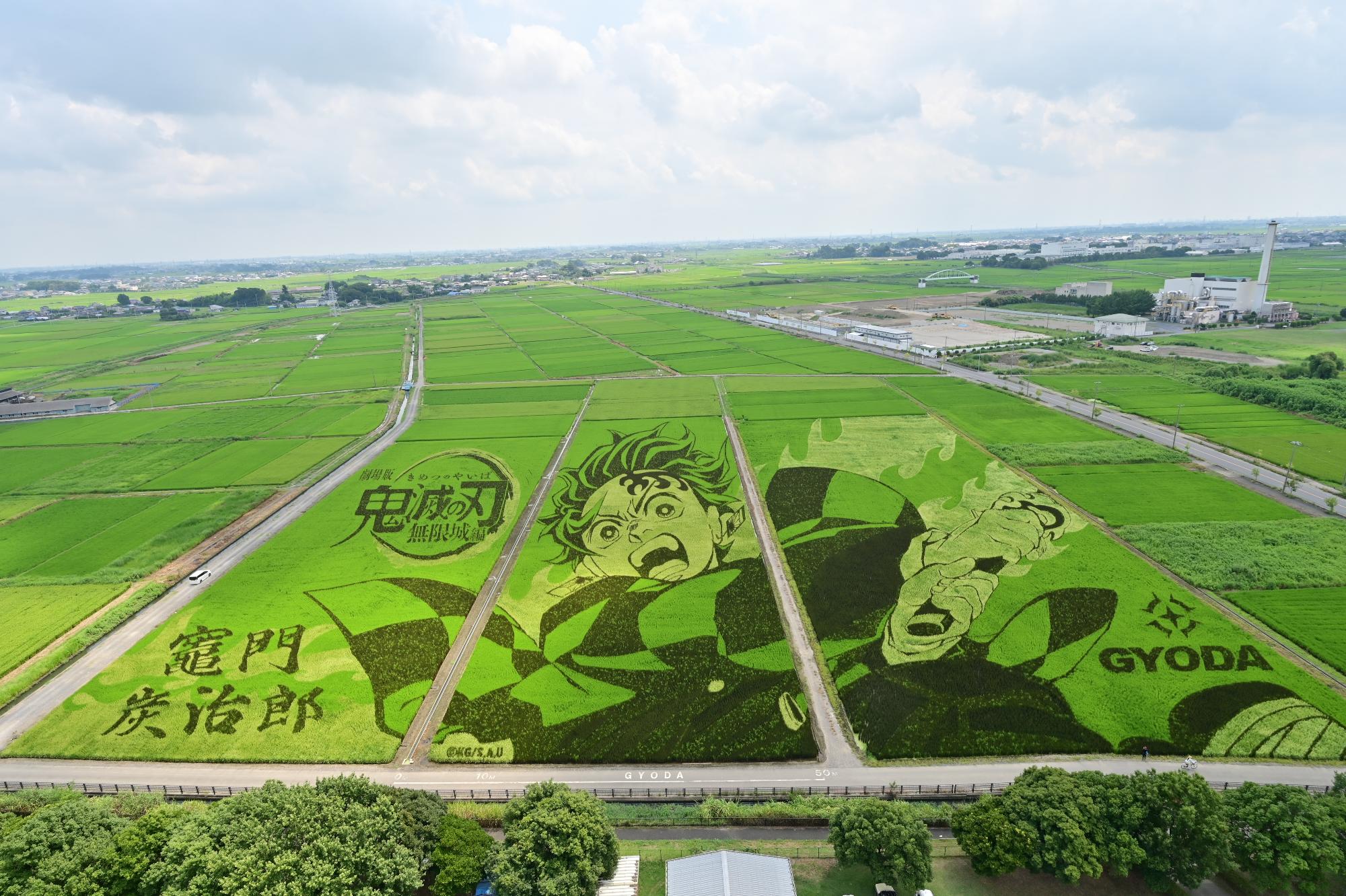 8月16日撮影