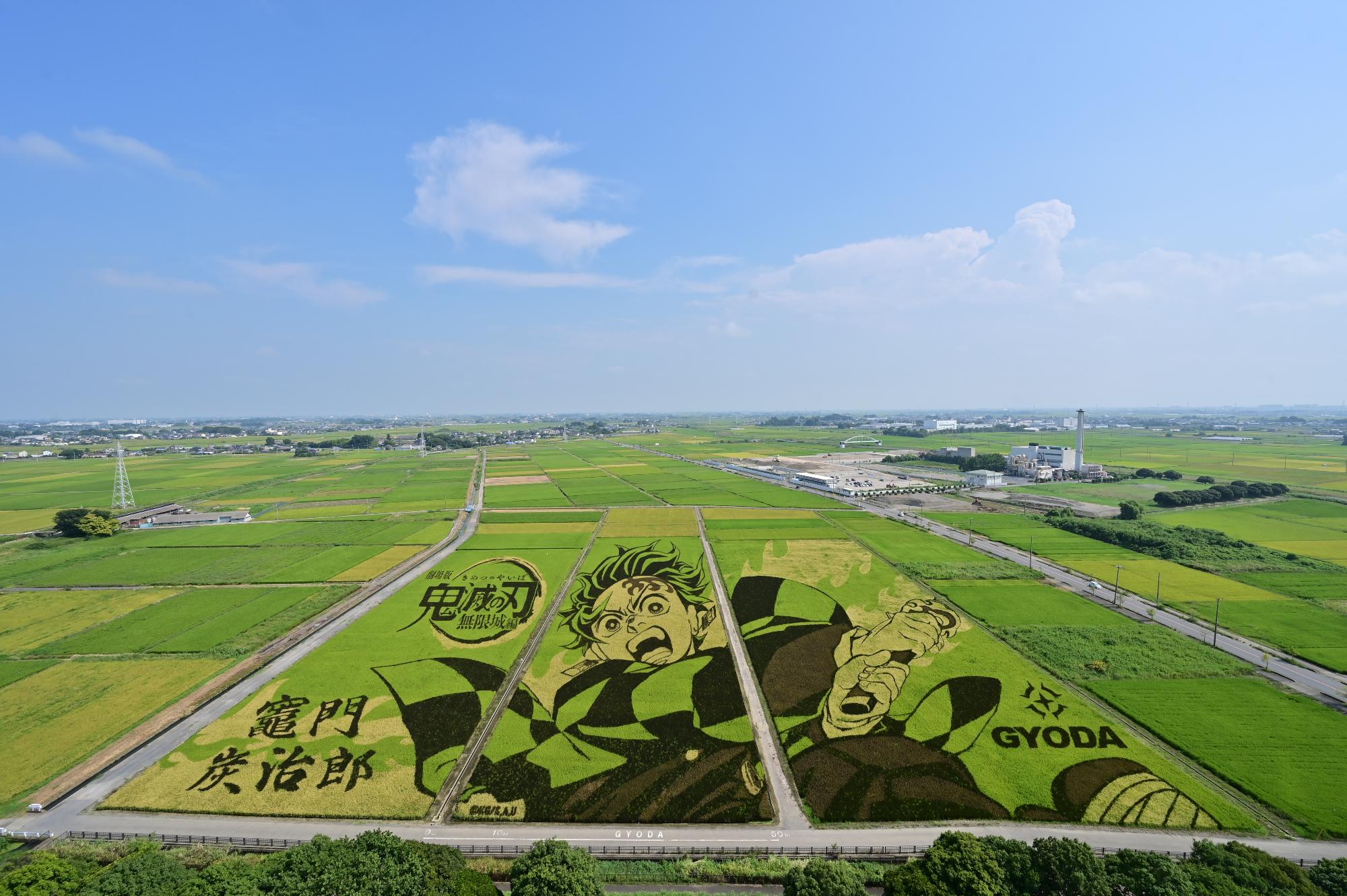9月10日撮影