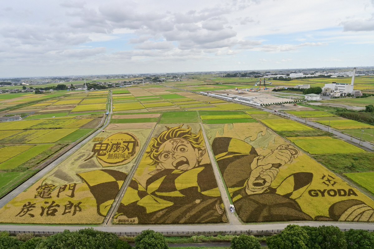 稲刈りイベント後