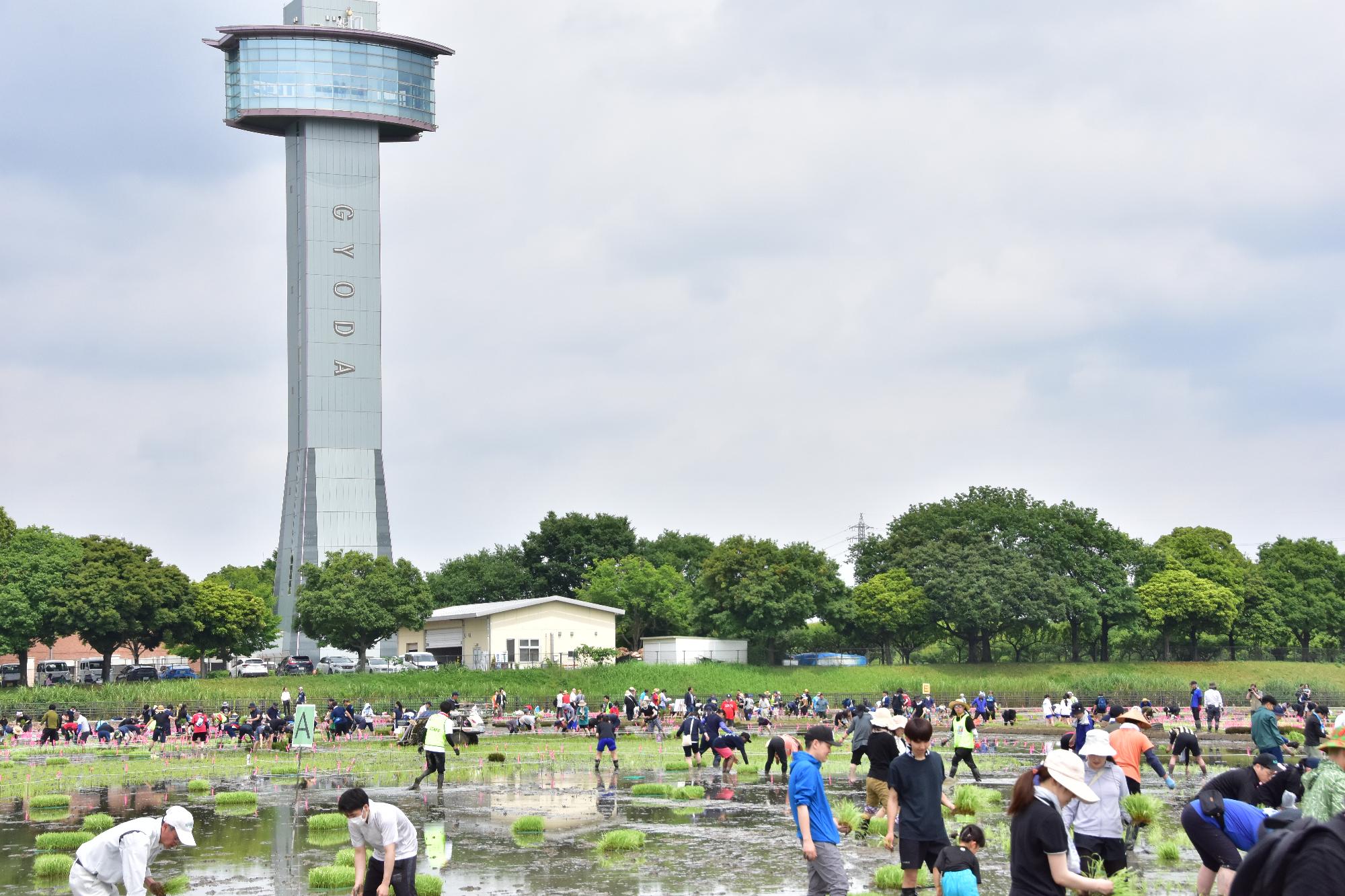 天気にも恵まれて田植え日和でした