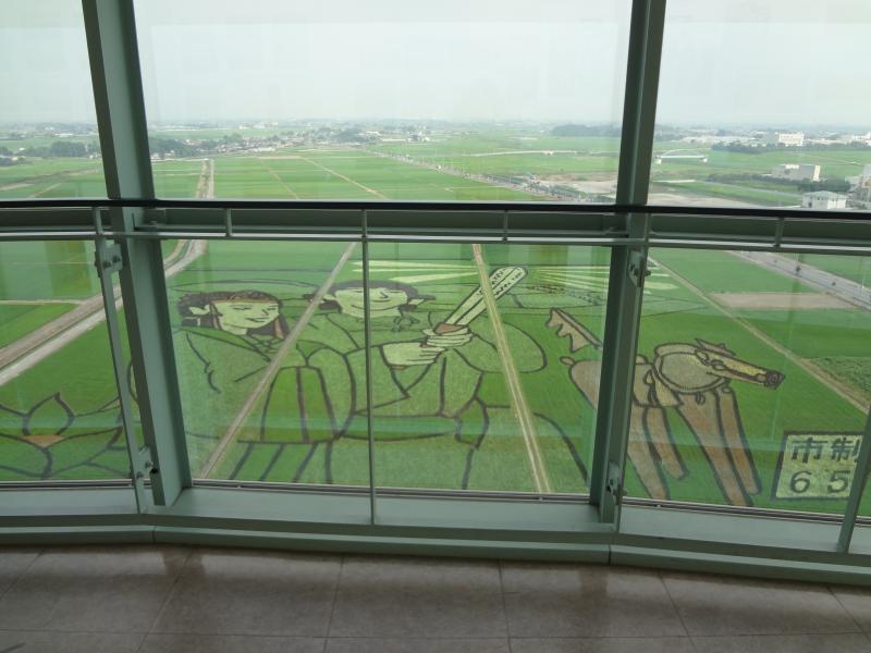 展望タワーから眺める田んぼアートの写真