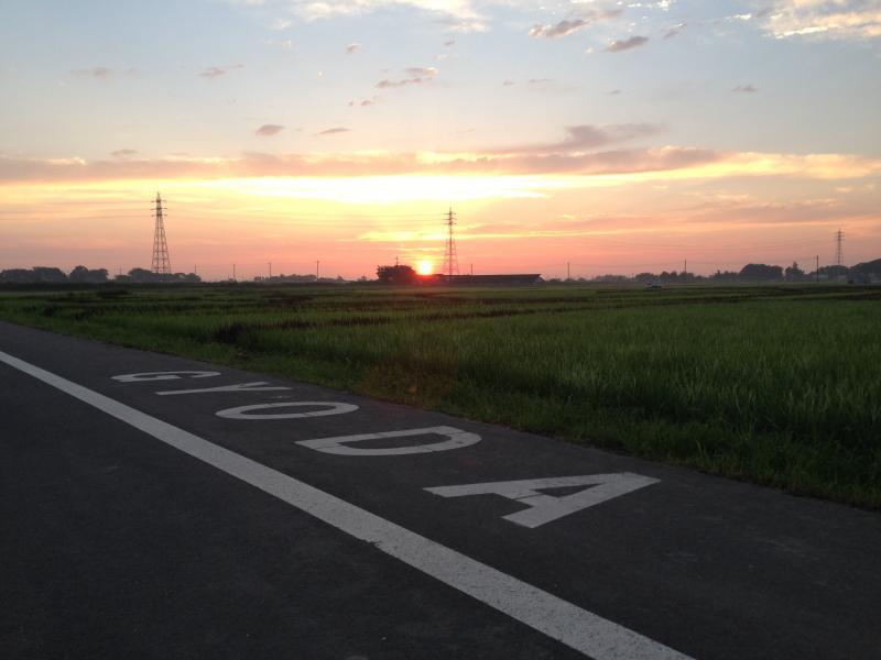 日の出と田んぼの写真