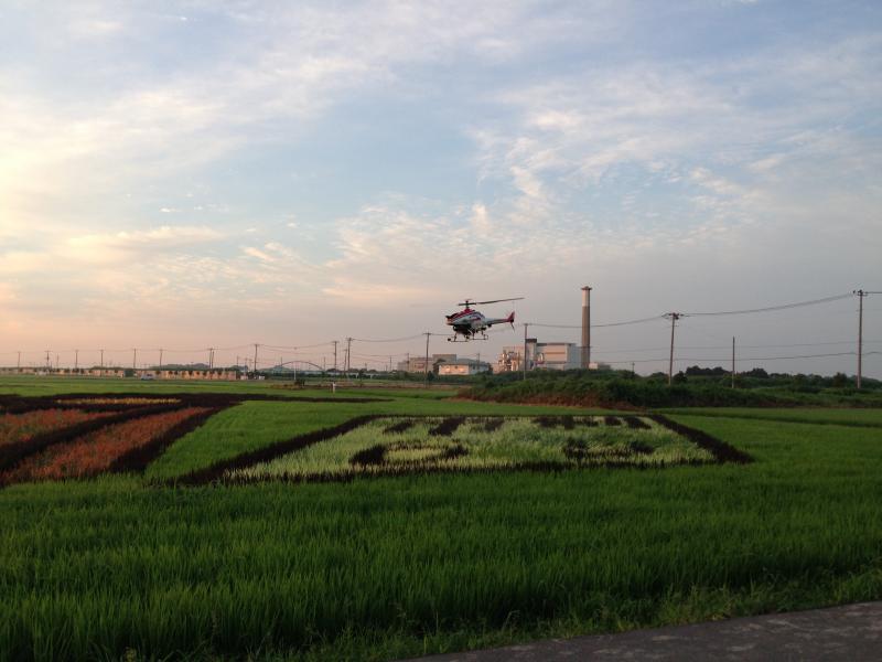 田んぼの上で無人ヘリコプターが飛んでいる写真