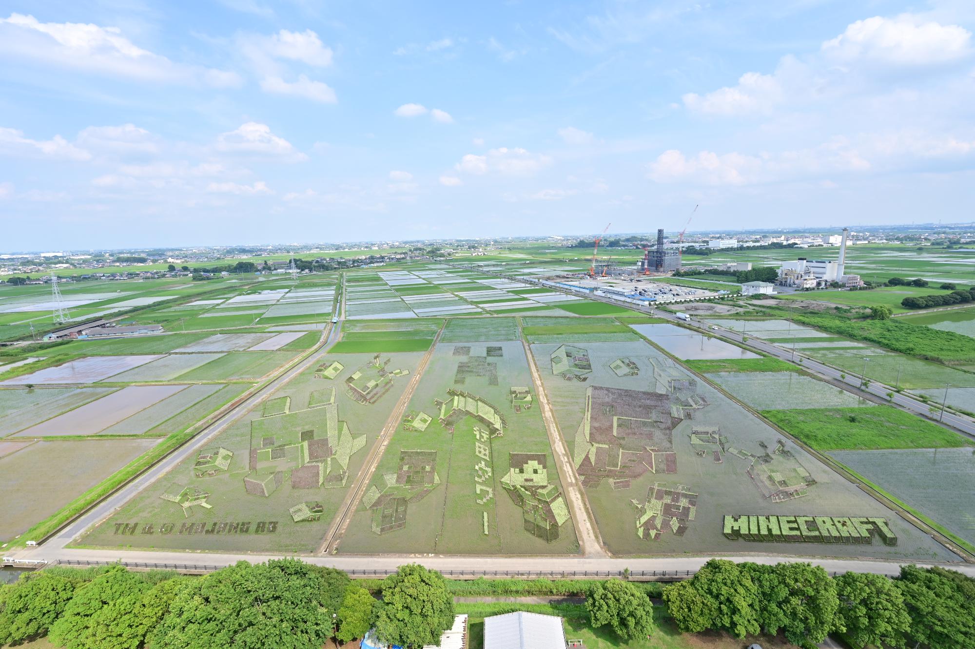 2026年6月30日撮影全体