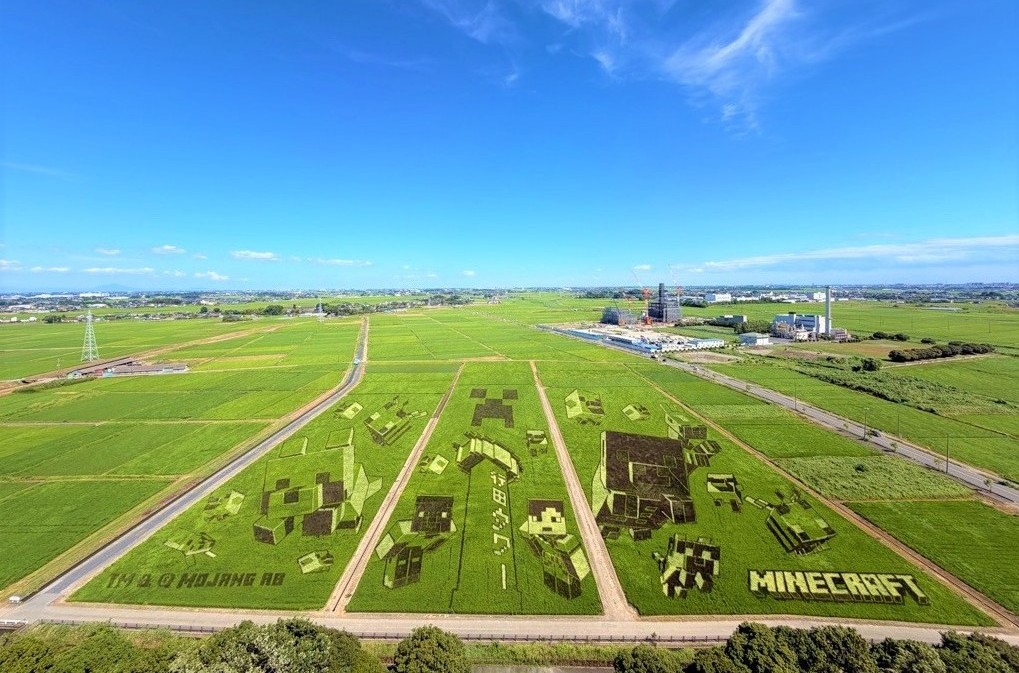 2026田植え写真0729