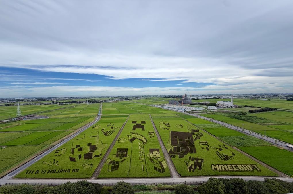 2026田植え写真0828