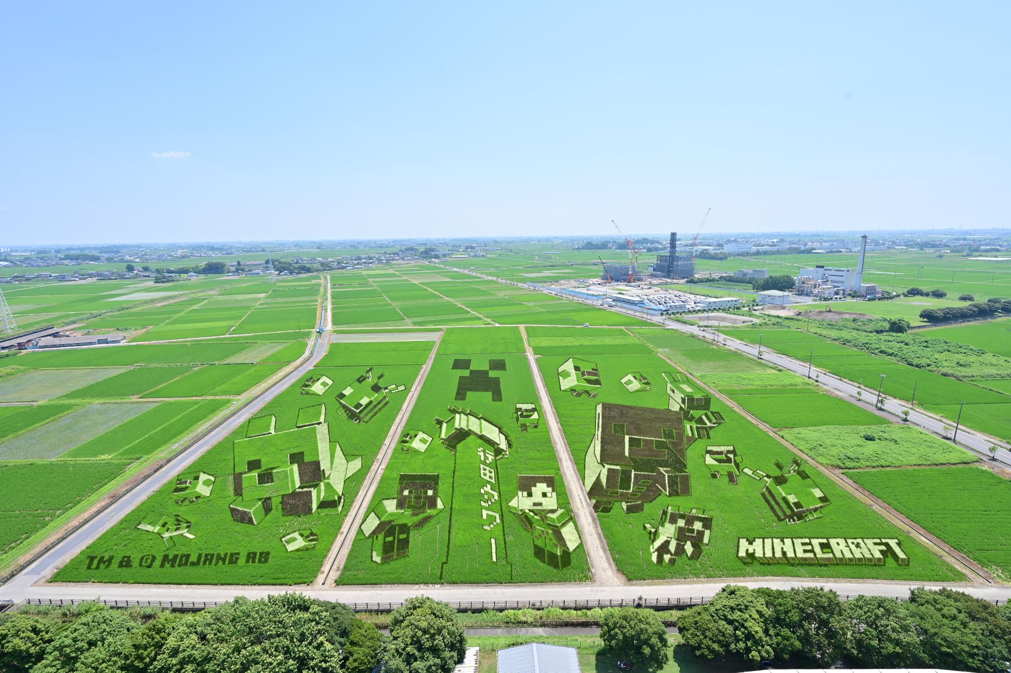 2026田植え写真0721