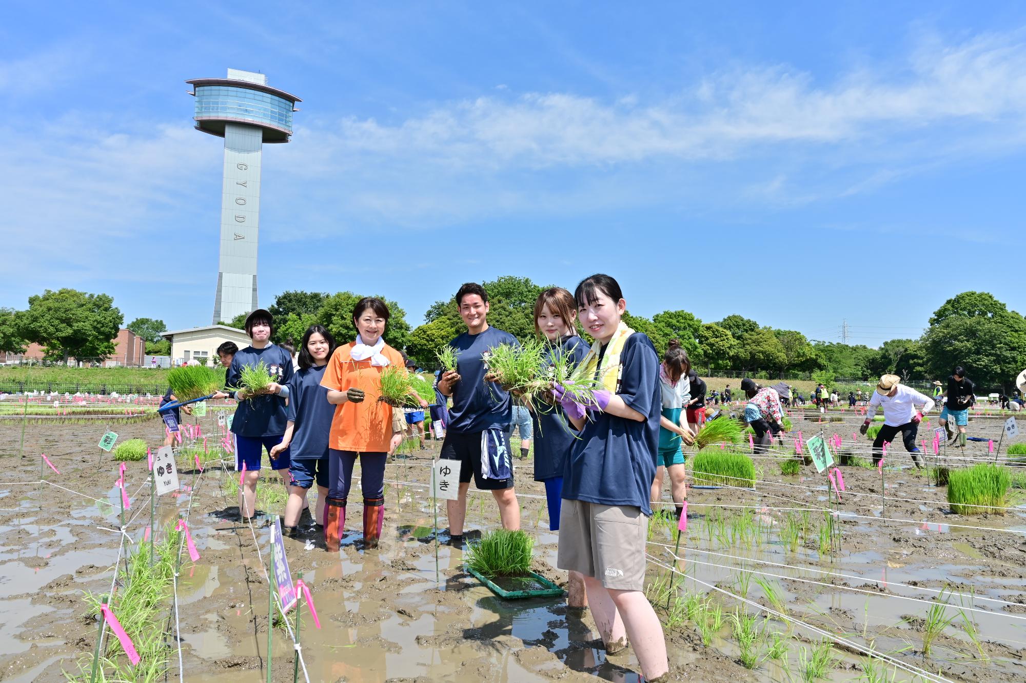 2026年の田植えの様子1