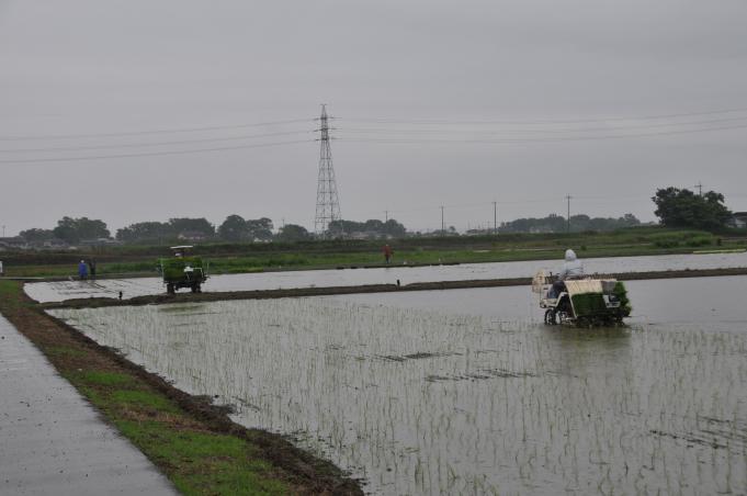 雨の中、2台のトラクターで田植えをしている写真