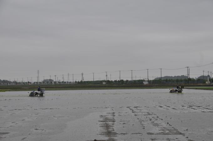 空が暗い雨の中、2台のトラクターできれいに田植えをしている写真