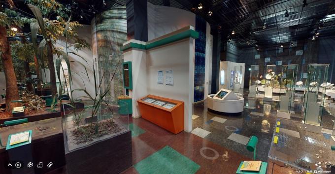 VRで見る古代蓮会館の中のジオラマ展示や蓮の観察コーナーなどの写真