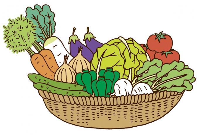 ニンジン、大根、なす、きゃべつ、とまと、きゅうり、たまねぎ、ピーマン、かぶなどの野菜が大きな籠に入っているイラスト
