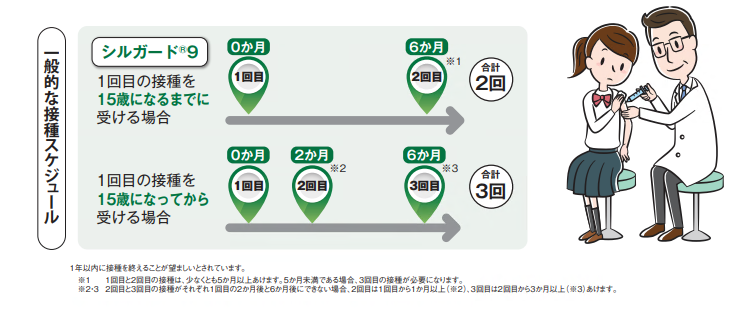 一般的な接種スケジュール