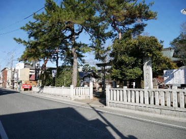 青空の下、神社正面には大きなご神木と石の鳥居が建つ八幡神社の写真
