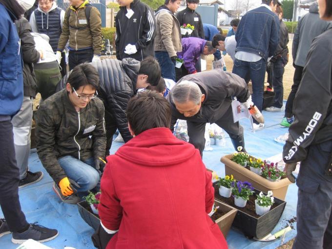 緑化活動の行田市とものつくり大学・地域住民たちがブルーシートの上でプランターに花を植えつけている写真