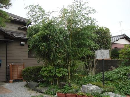 住宅の横の一角に立て看板があり竹が植えられている写真