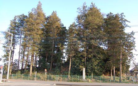 生い茂った樹木の奥にある幹線道路側の墳丘の前方部の写真