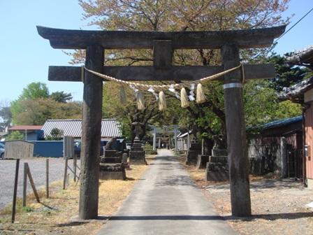 石材でつくられ、注連澤が掛けられている前玉神社の石鳥居の写真